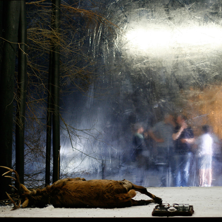 Meine Bienen. Eine Schneise. (production Festival de Salzburg)